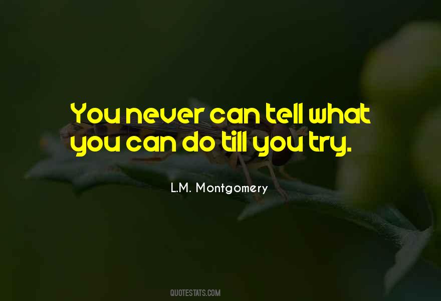Kotowski Palace Quotes #774400