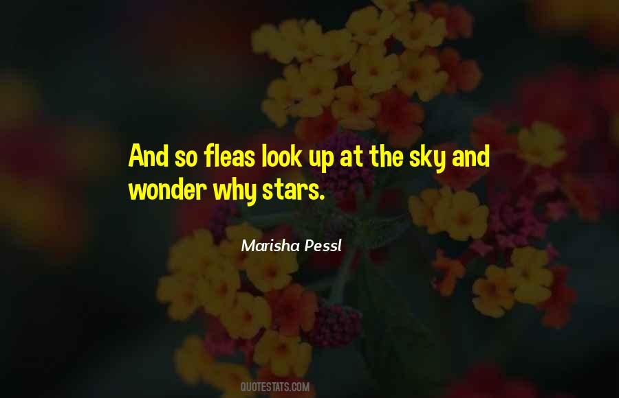 Potestio Quotes #1524440