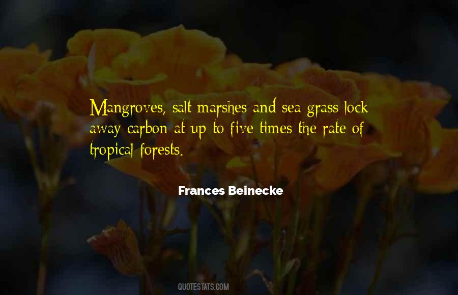 Empeine Bailarina Quotes #271607
