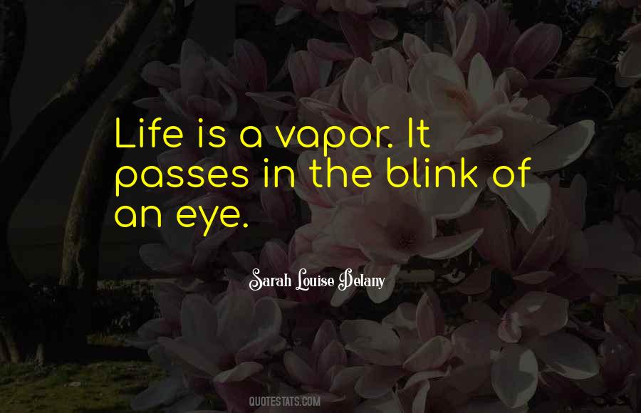 A Blink Of An Eye Quotes #848580