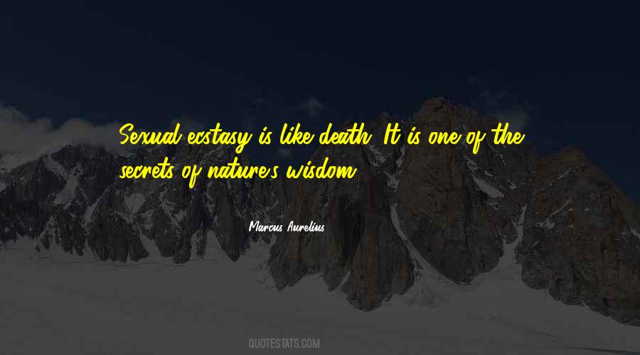Sexual Ecstasy Quotes #508264
