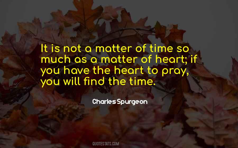 Paulsgrove Amenity Quotes #254352