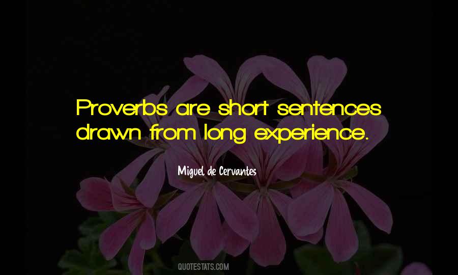 Quotes About Long Sentences #308139