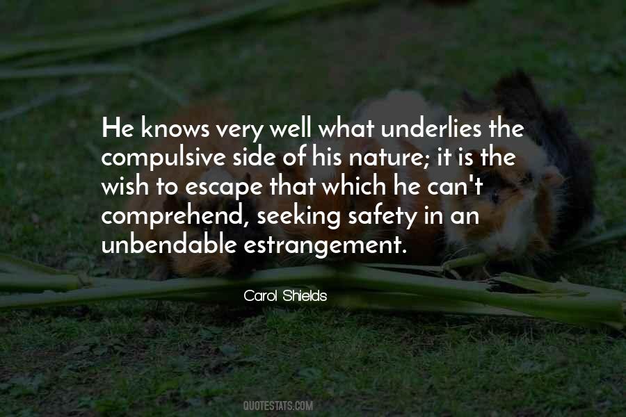 Seeking Safety Quotes #252109