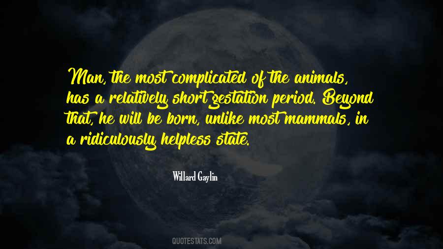 Cowlishaw Home Quotes #417527
