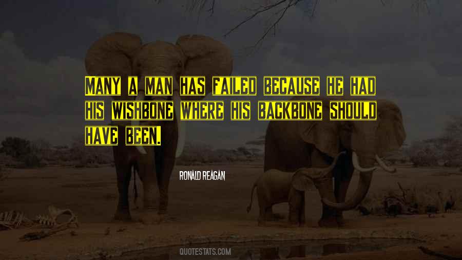 Jereed Vector Quotes #1504140