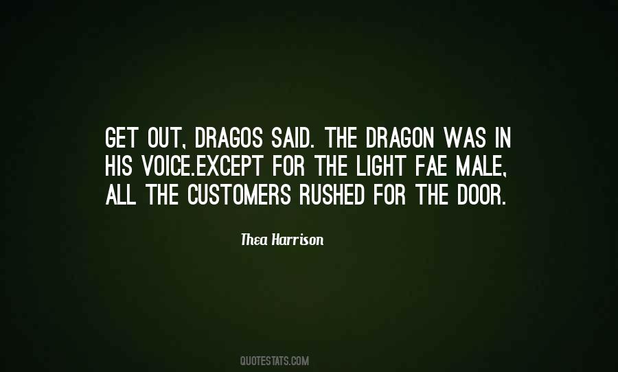 Dragon Fae Quotes #1784657