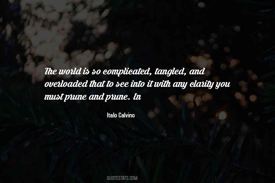 Calvino Quotes #32448