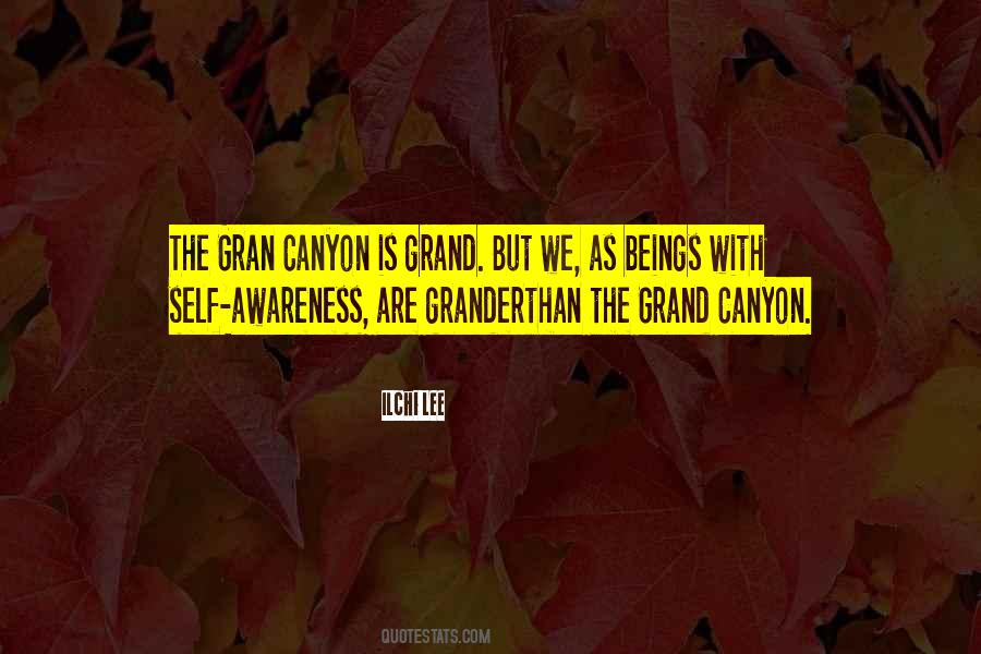 Aragona And Aragona Quotes #193042