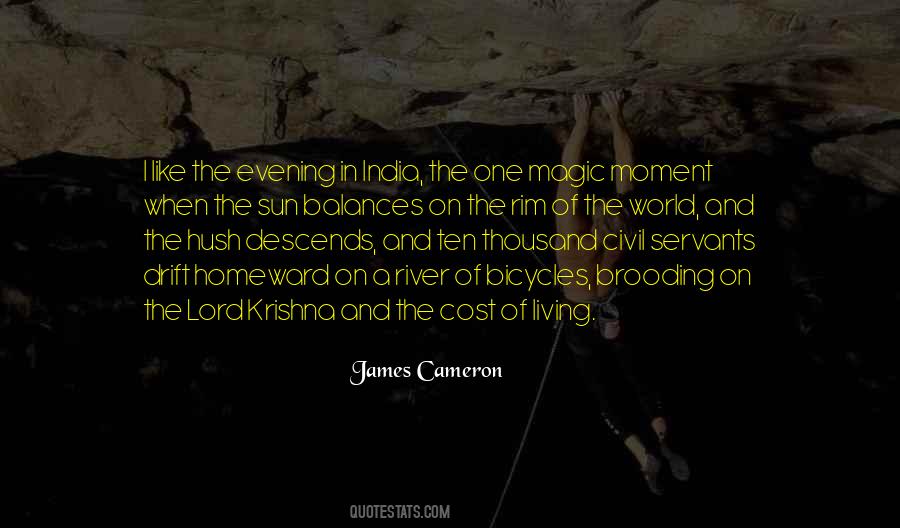 Cameron James Quotes #1305285