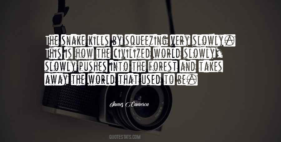 Cameron James Quotes #482374