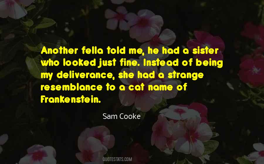 How The Fella Looked Quotes #130522