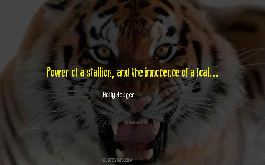 Pity Of War Quotes #320556 Pity Of War Quotes #320556