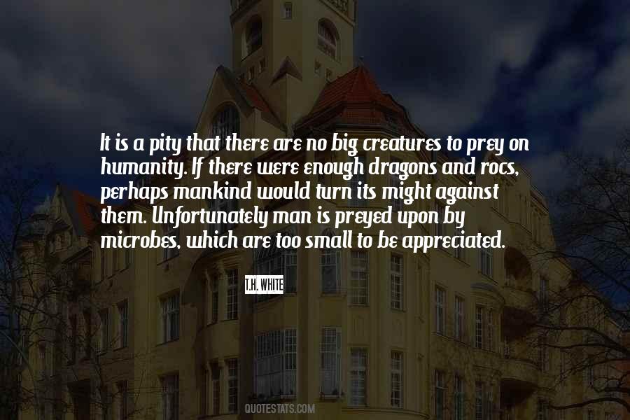 Pity Of War Quotes #554923 Pity Of War Quotes #554923