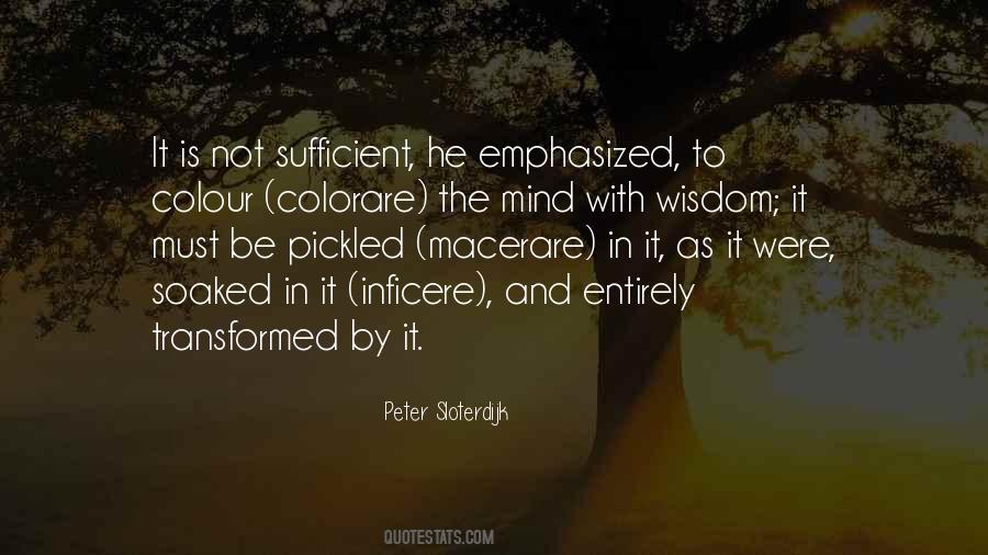Sloterdijk Peter Quotes #1116125