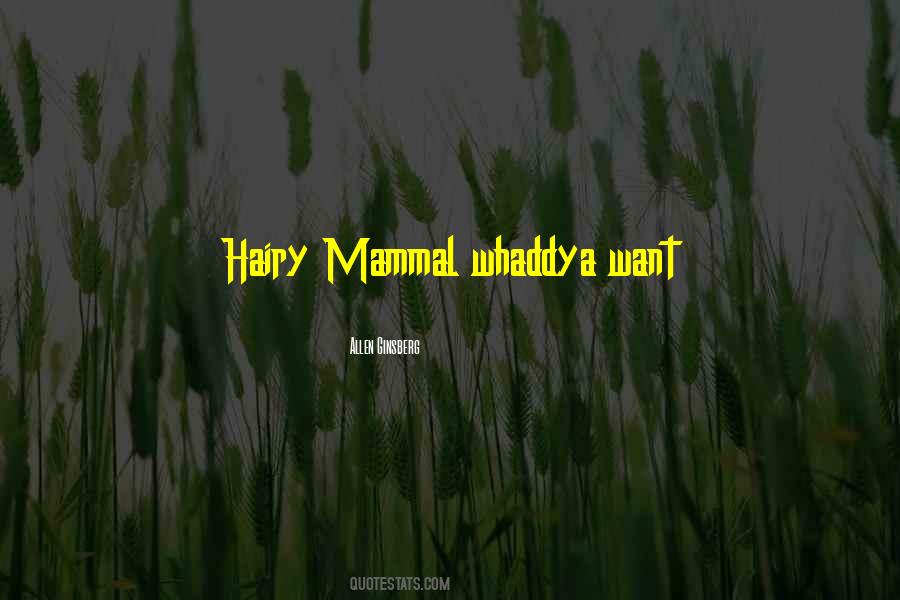 Assuntina Sacco Quotes #1002273