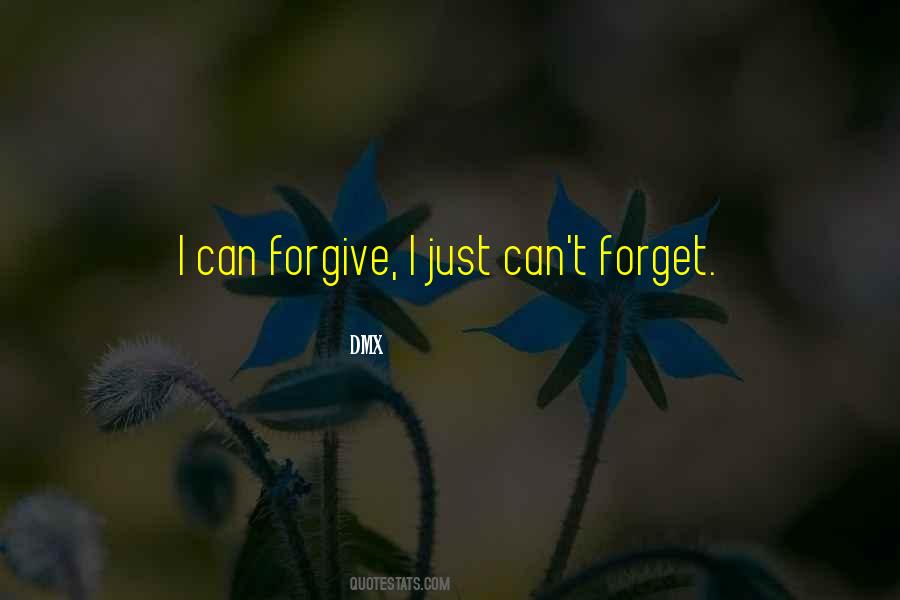 Can I Forgive Quotes #823328