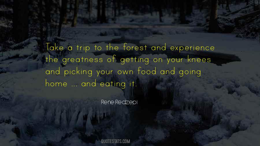 Experience That You Can Do At Home Quotes #350860