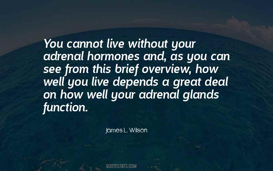 Can Live Without You Quotes #403624