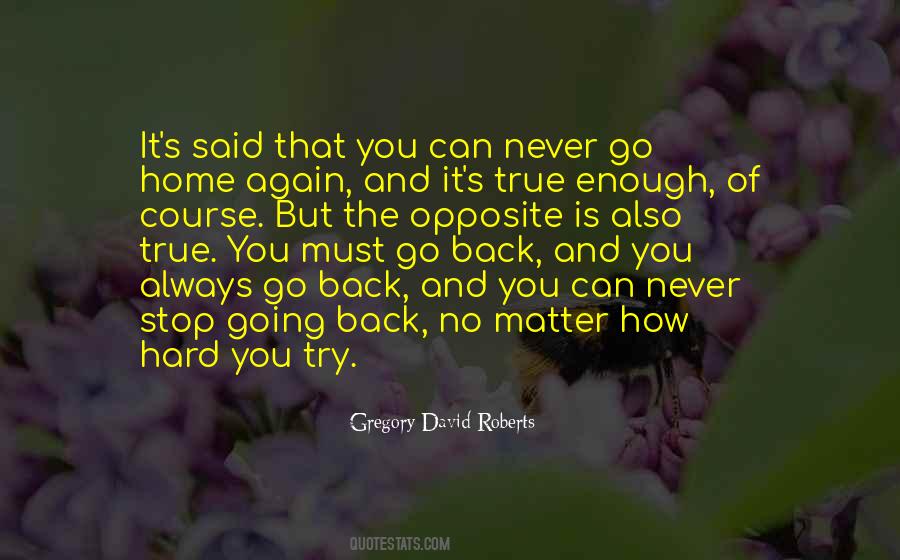 Can Never Go Back Quotes #1278728