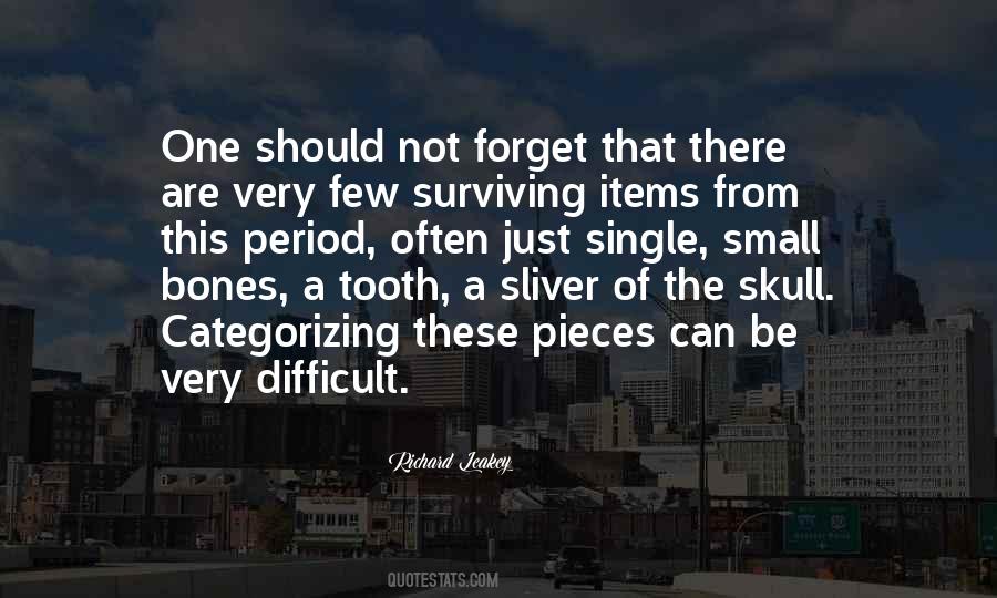 Can Not Forget Quotes #128625