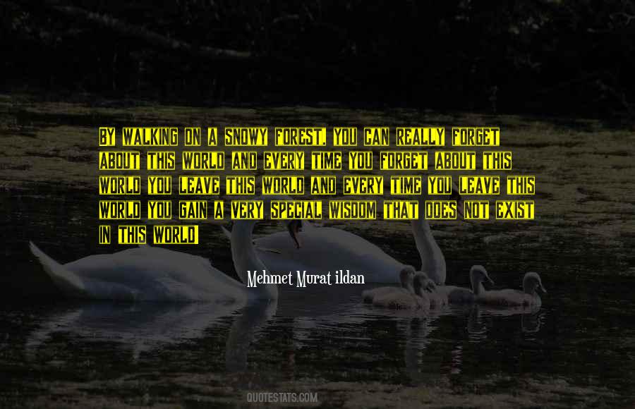 Can Not Forget Quotes #65070