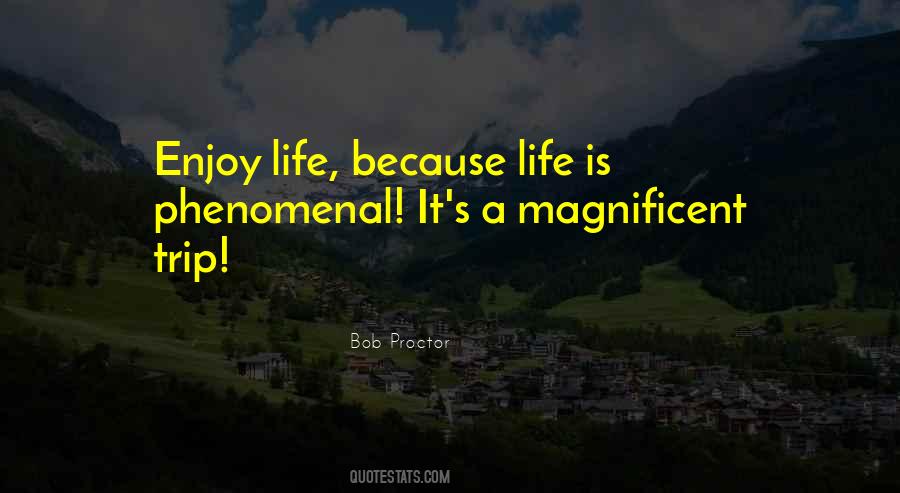 Enjoy Your Trip Quotes #1799266