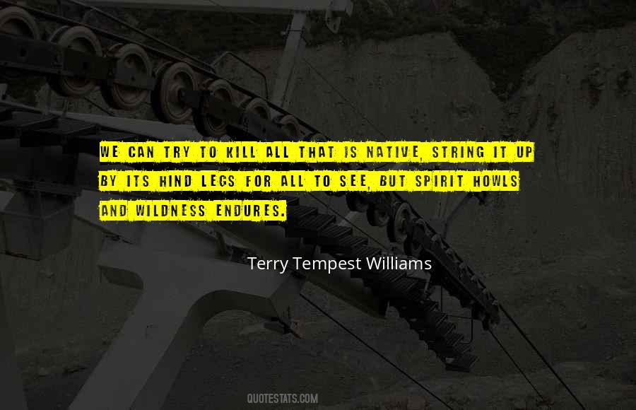 Can We Try Quotes #212456