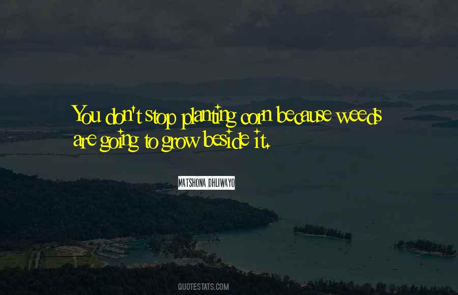 Viticell Quotes #1076496