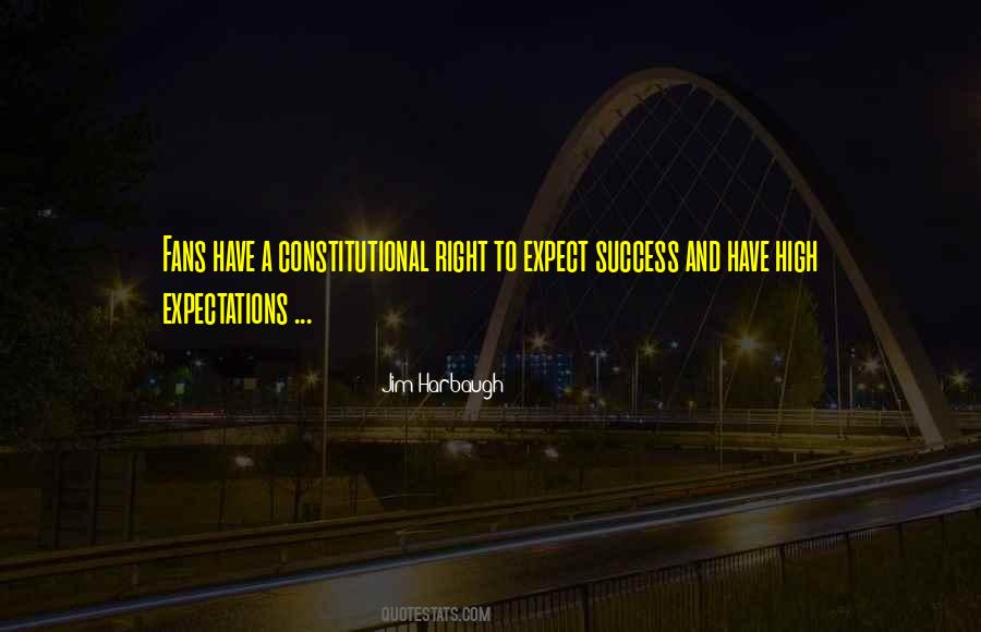 Expect Success Quotes #963141