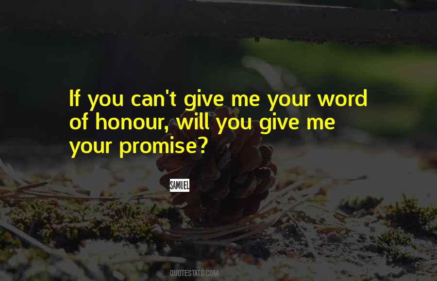 Can You Promise Me Quotes #1023079