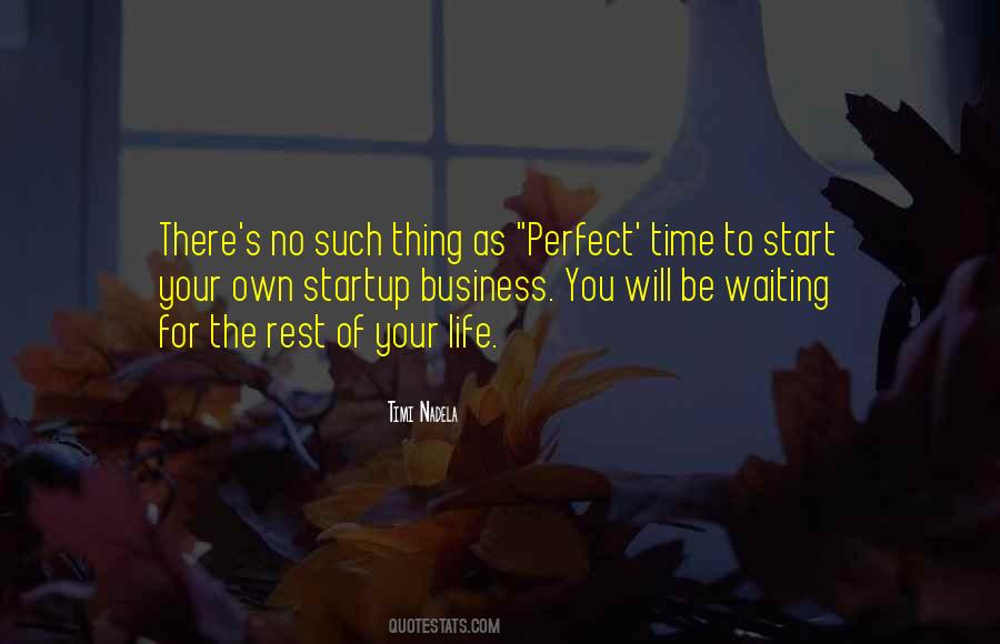 Waiting For The Perfect Time Quotes #904778