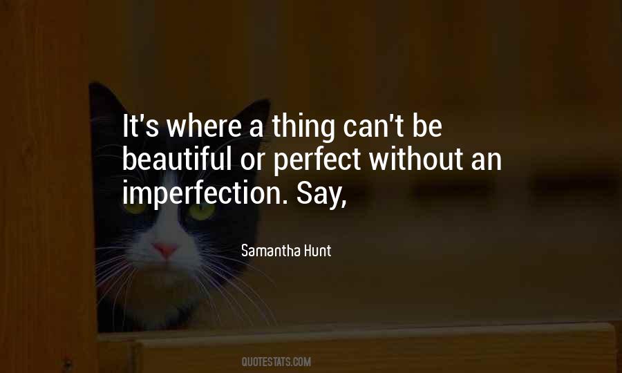 Can't Be Perfect Quotes #457827