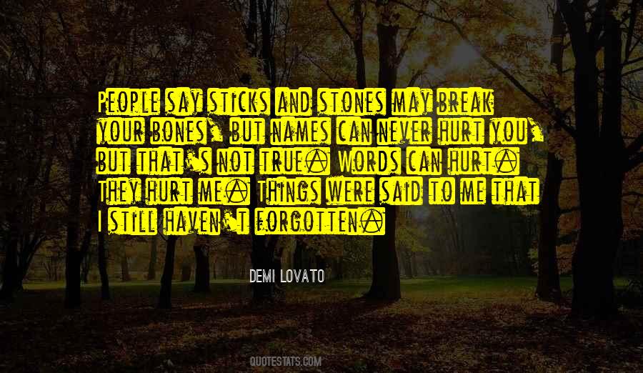 Can't Break Me Quotes #1264027