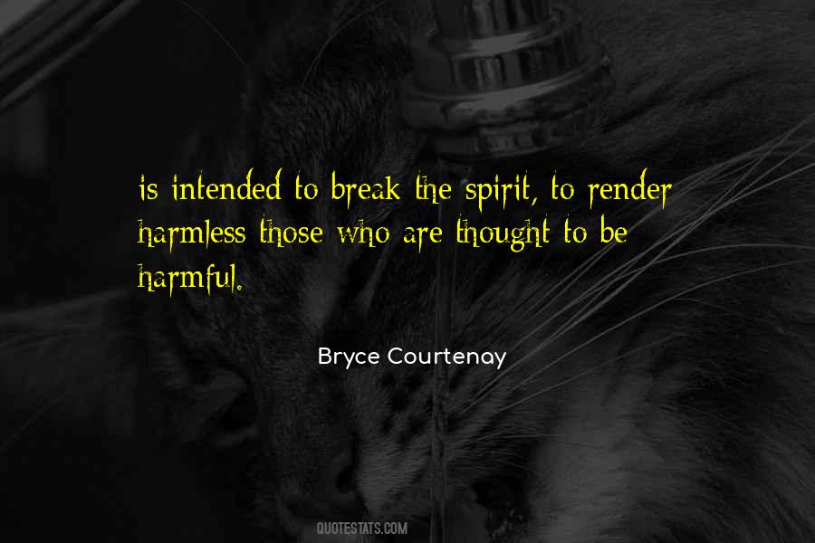 Can't Break My Spirit Quotes #541692