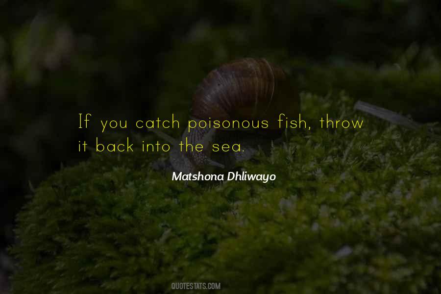 Can't Catch Fish Quotes #270391