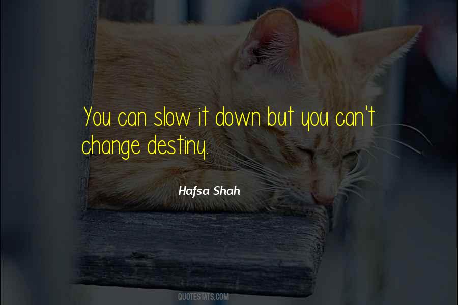 Can't Change Destiny Quotes #1008007