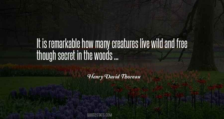 Abodh 1984 Quotes #1678330