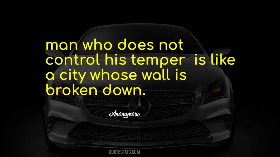 Can't Control My Temper Quotes #991774
