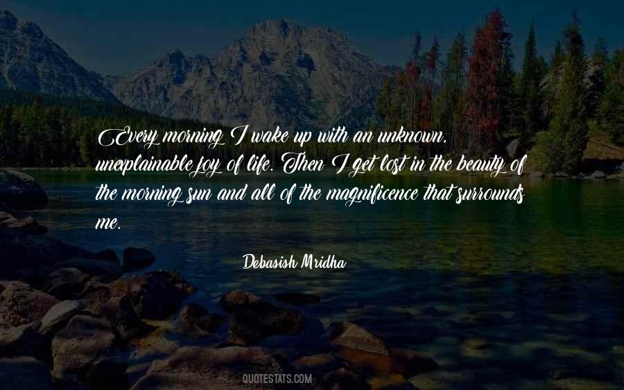Joy And Beauty Quotes #231715