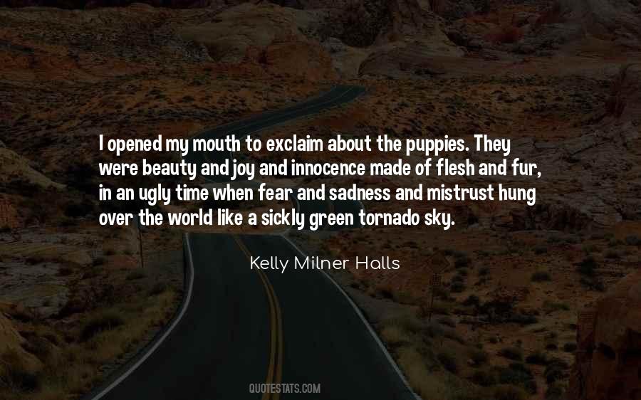 Joy And Beauty Quotes #495703