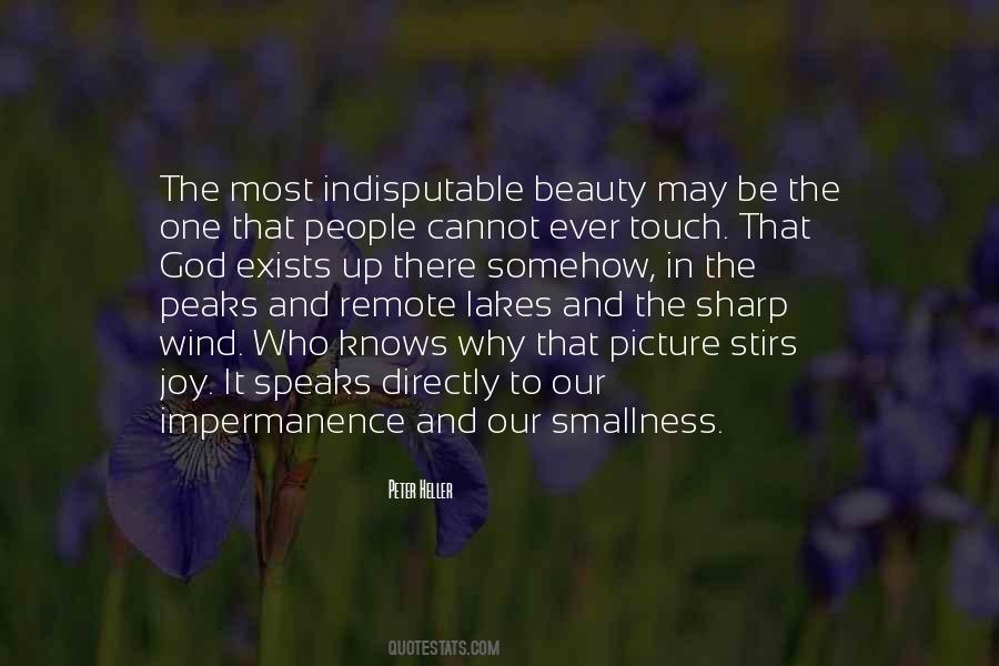 Joy And Beauty Quotes #652817