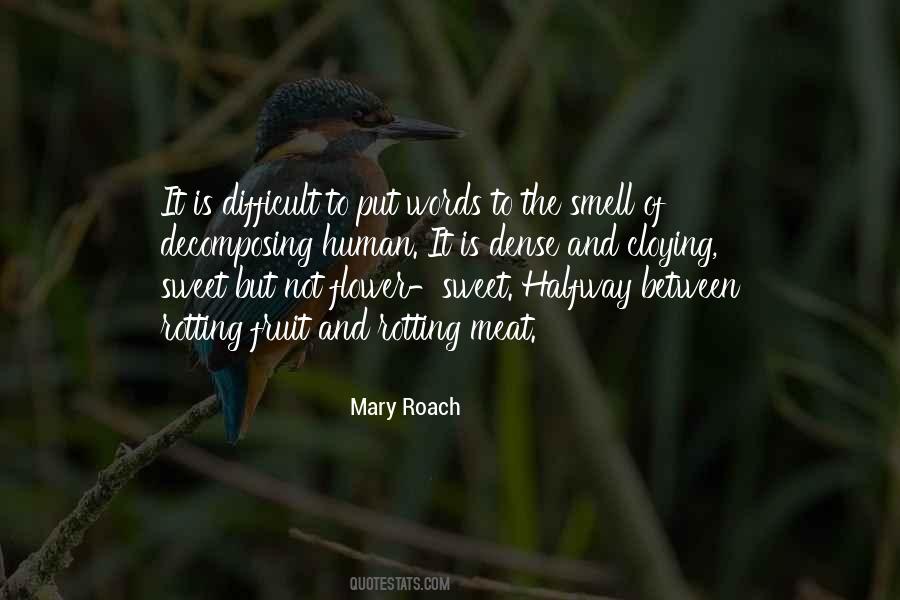 Mielikki D D Quotes #450790