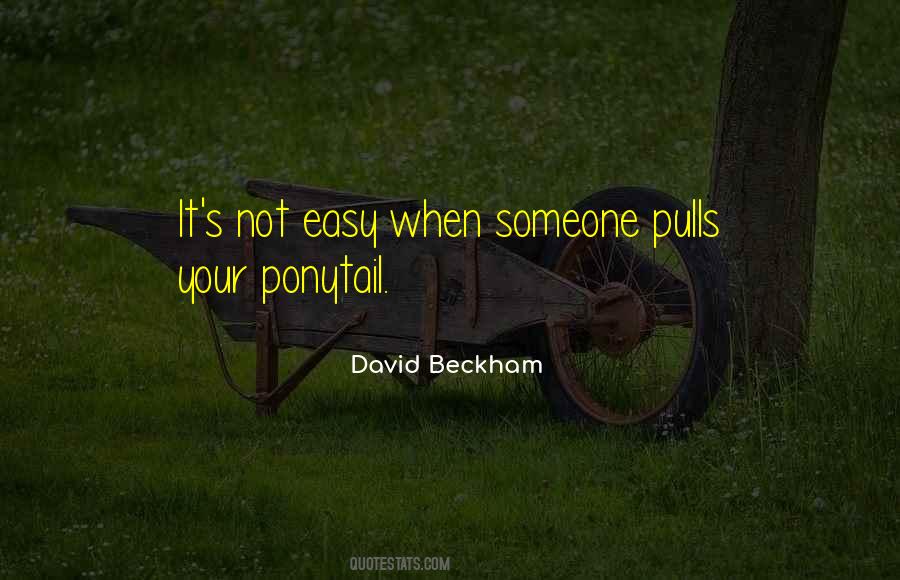 2 Ponytails Quotes #1027321