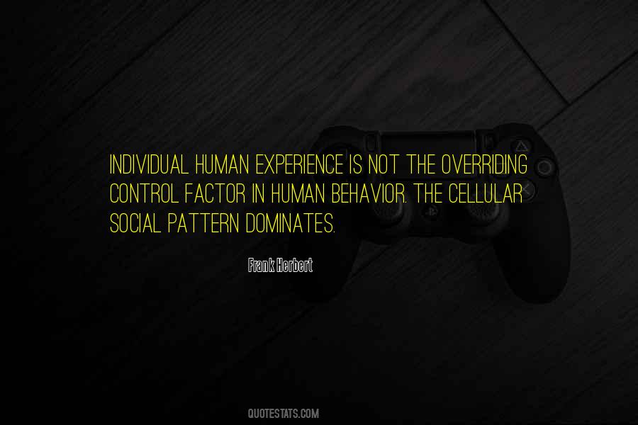 Individual Experience Quotes #837027