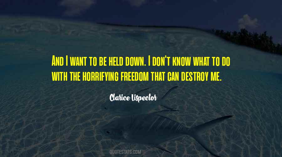 Can't Destroy Me Quotes #1424452