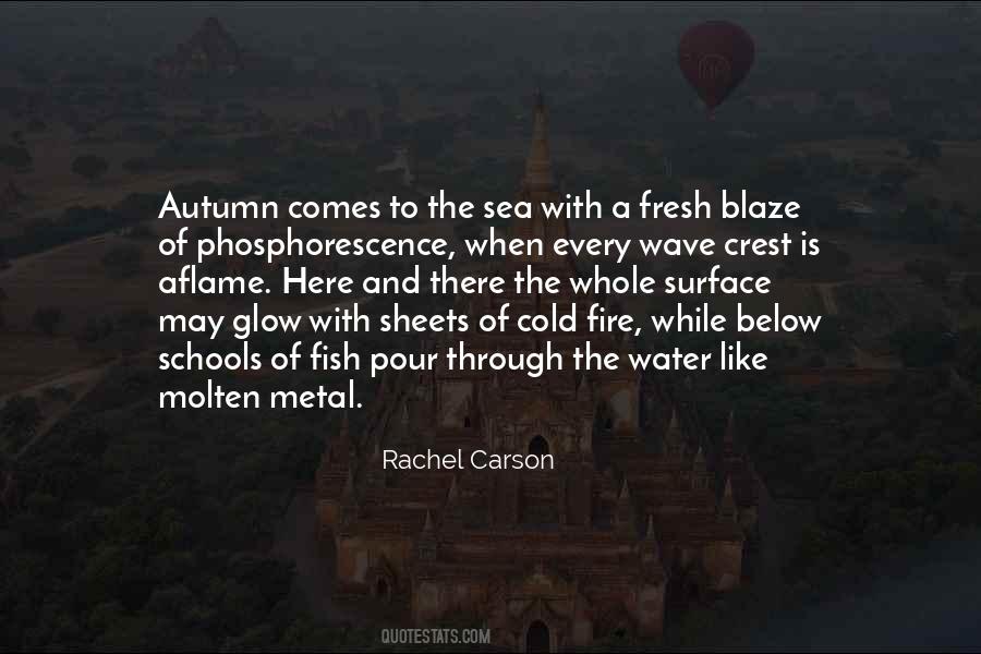 Morssinkhof Rymoplast Quotes #1797769