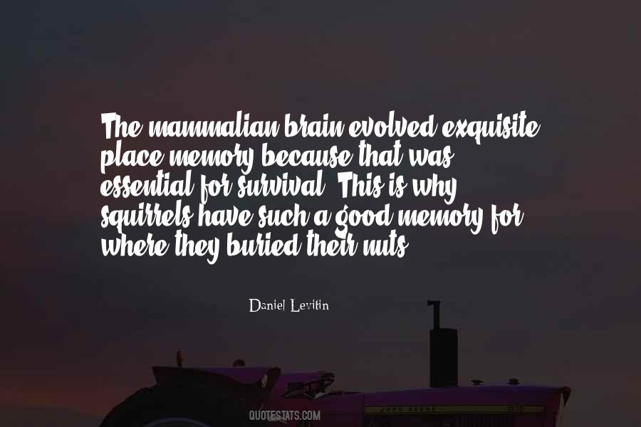 Wiklund And Bond Quotes #1051967