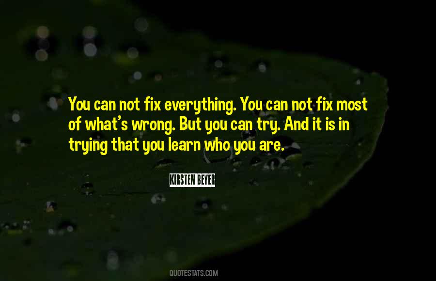 Can't Fix Everything Quotes #1343648