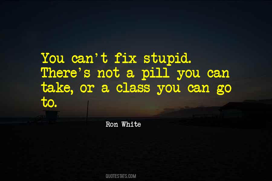 Can't Fix Stupid Quotes #1490894